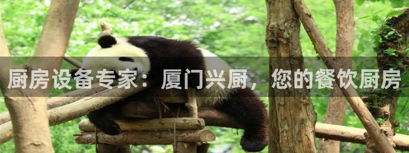 尊龙d88官网登录苹果版下载：厨房设备专家：厦门兴厨，您的餐