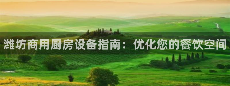 尊龙会ktv价格：潍坊商用厨房设备指南：优化您的餐饮空间