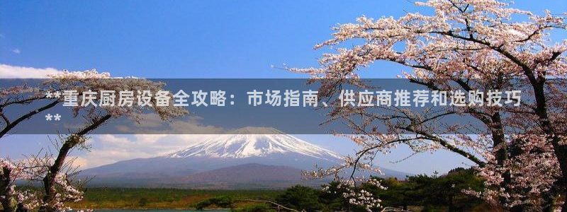 尊龙人生就是博旧版手机可靠送38元：**重庆厨房设备全攻略：