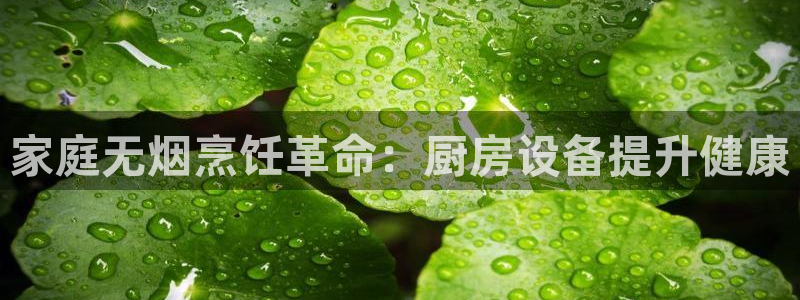 尊龙人品怎么样：家庭无烟烹饪革命：厨房设备提升健康