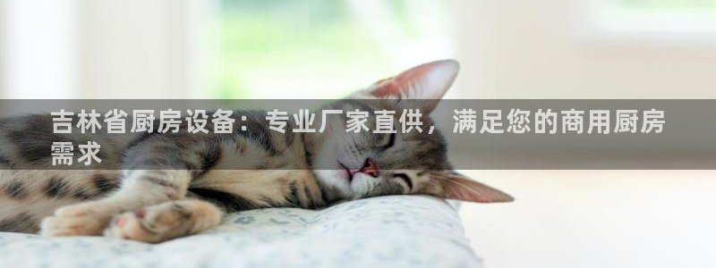 尊龙凯时是直营吗：吉林省厨房设备：专业厂家直供，满足您的商用