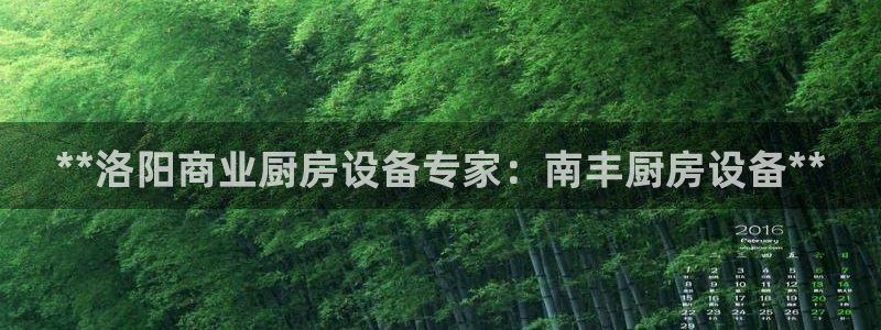 尊龙官网地址：**洛阳商业厨房设备专家：南丰厨房设备**