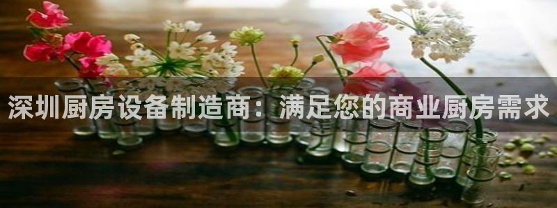 尊龙官方网址：深圳厨房设备制造商：满足您的商业厨房需求
