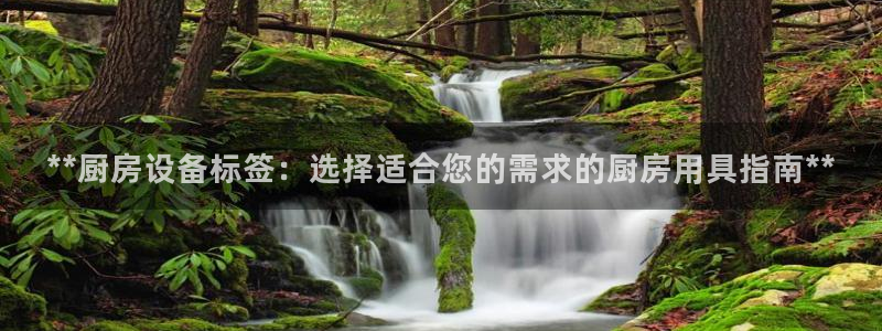 尊龙人生就是博中国区：**厨房设备标签：选择适合您的需求的厨