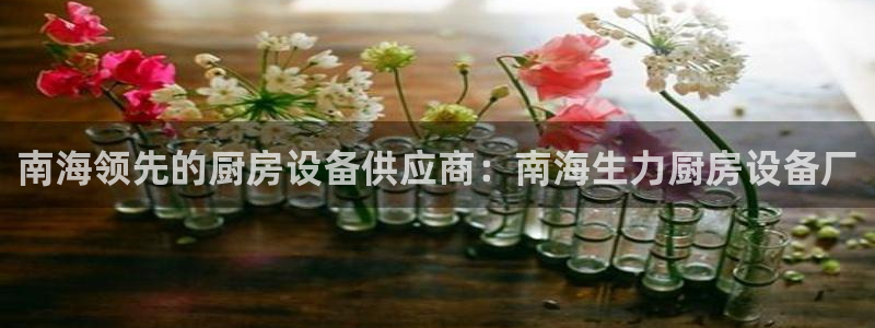 尊龙凯时能提现吗：南海领先的厨房设备供应商：南海生力厨房设备