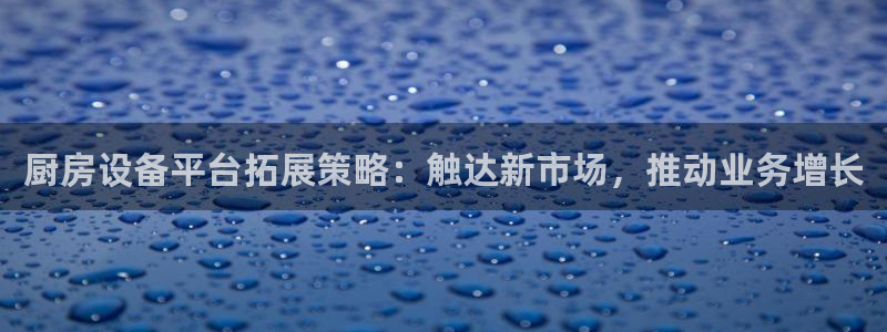 尊龙Ag：厨房设备平台拓展策略：触达新市场，推动业务增长