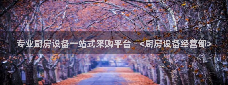尊龙集团有限公司是国企吗：专业厨房设备一站式采购平台 - <
