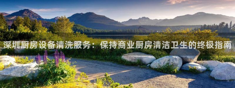 尊龙会：深圳厨房设备清洗服务：保持商业厨房清洁卫生的终极指南