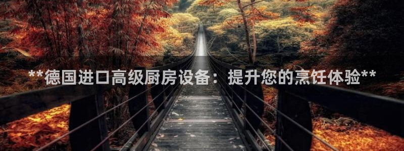 尊龙人生就是博旧版手机可靠送38元：**德国进口高级厨房设备