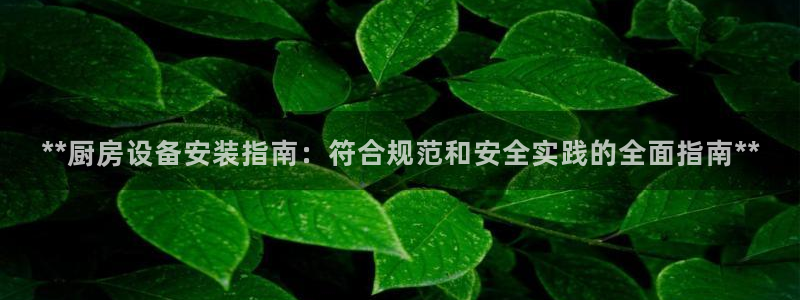 凯时国际官方版：**厨房设备安装指南：符合规范和安全实践的全