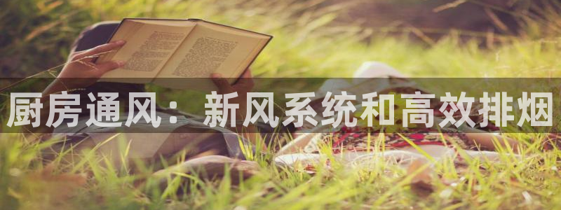 尊龙凯时人生就是搏·(中国)官网：厨房通风：新风系统和高效排