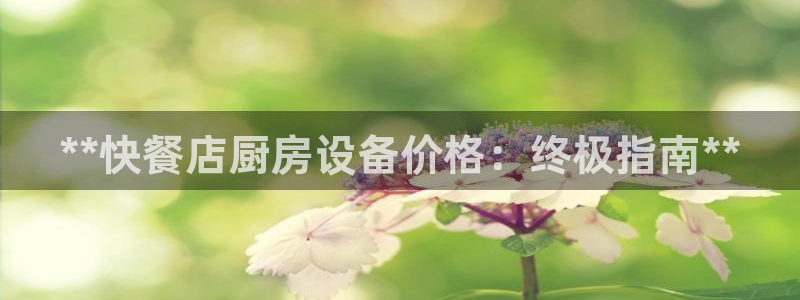 尊龙凯时登陆：**快餐店厨房设备价格：终极指南**