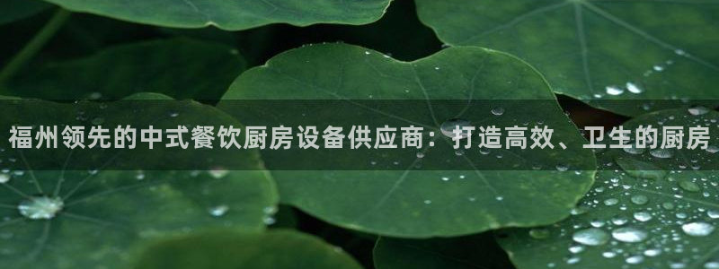 尊龙公司：福州领先的中式餐饮厨房设备供应商：打造高效、卫生的