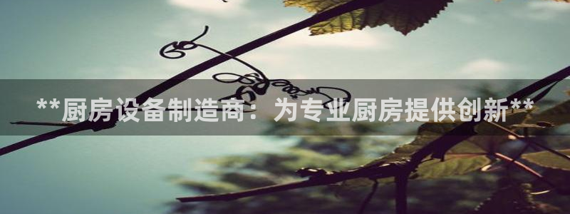 尊龙凯时官网入口：**厨房设备制造商：为专业厨房提供创新**