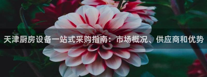 z6尊龙凯时：天津厨房设备一站式采购指南：市场概况、供应商和
