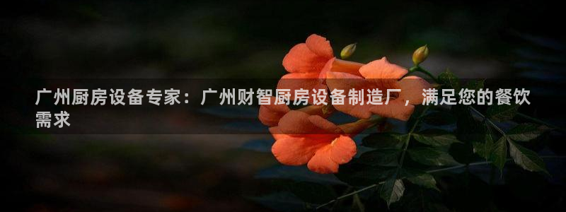 尊龙凯时为什么输了钱：广州厨房设备专家：广州财智厨房设备制造