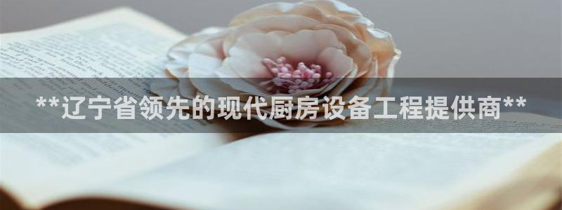 尊龙凯时人生就是搏官方网站：**辽宁省领先的现代厨房设备工程