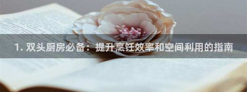 尊龙网址登录官网：1. 双头厨房必备：提升烹饪效率和空间利用