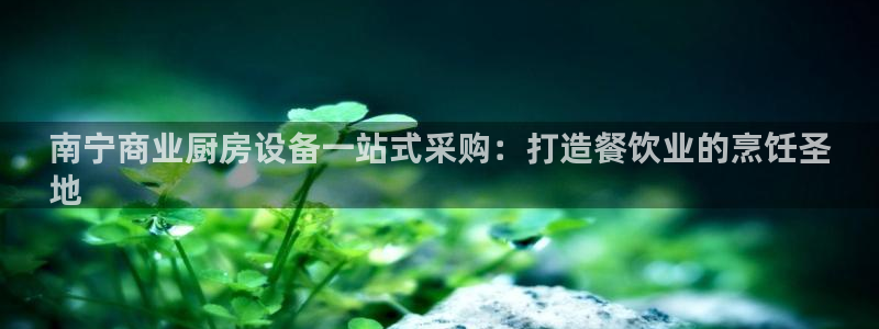 尊龙凯时提现不了：南宁商业厨房设备一站式采购：打造餐饮业的烹