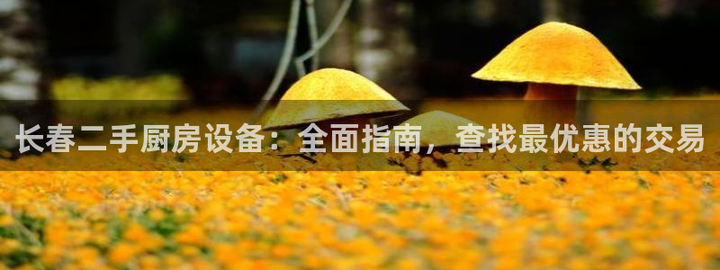 尊龙凯时企业文化：长春二手厨房设备：全面指南，查找最优惠的交