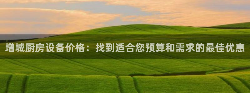 尊龙凯时ag旗舰厅：增城厨房设备价格：找到适合您预算和需求的
