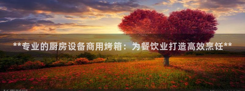 尊龙目前在哪：**专业的厨房设备商用烤箱：为餐饮业打造高效烹