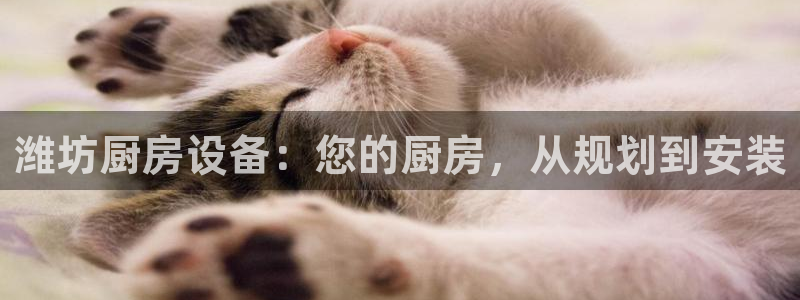 尊龙凯时网站登录：潍坊厨房设备：您的厨房，从规划到安装