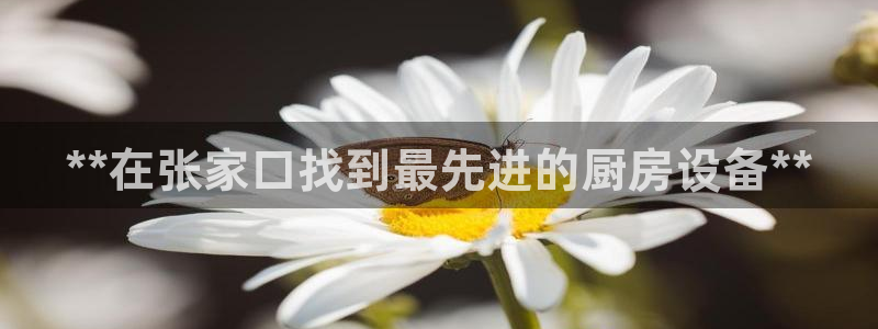 凯时k8娱乐唯一官网：**在张家口找到最先进的厨房设备**