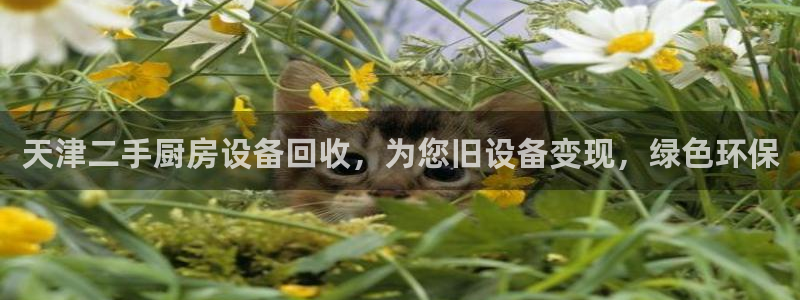 尊龙凯时提现不了：天津二手厨房设备回收，为您旧设备变现，绿色