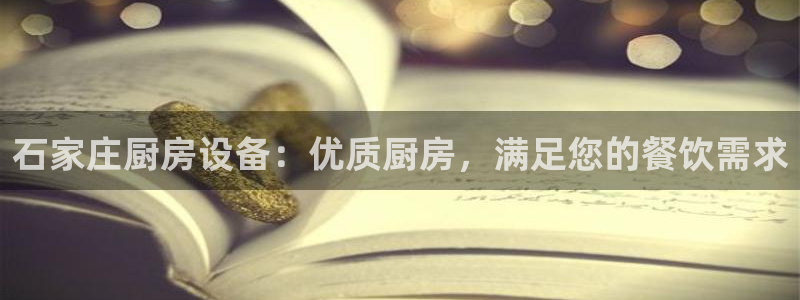 尊龙凯时泰安：石家庄厨房设备：优质厨房，满足您的餐饮需求
