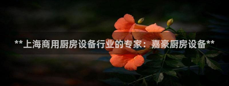 尊龙凯时推荐人：**上海商用厨房设备行业的专家：嘉豪厨房设备