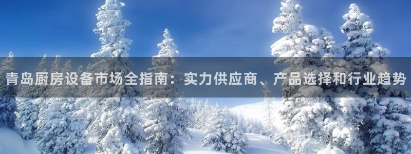尊龙凯时平台不给出款怎么办：青岛厨房设备市场全指南：实力供应
