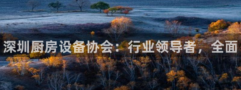 尊龙凯时ag旗舰厅登陆：深圳厨房设备协会：行业领导者，全面