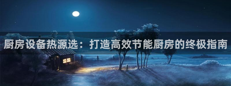 尊龙t500和t300区别：厨房设备热源选：打造高效节能厨房