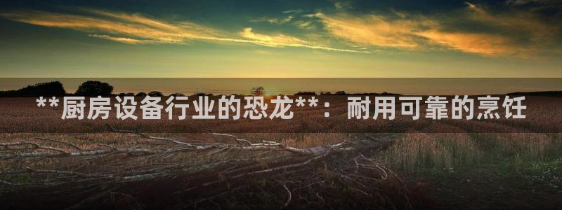 AG尊龙登陆网址：**厨房设备行业的恐龙**：耐用可靠的烹饪