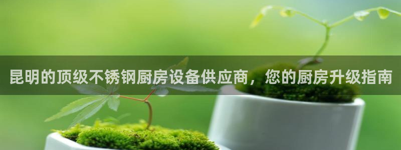凯时kb88·中国官方网站