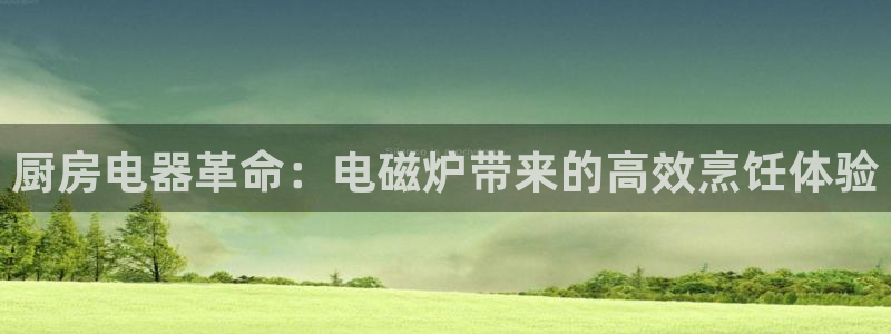 尊龙凯时app官网：厨房电器革命：电磁炉带来的高效烹饪体验