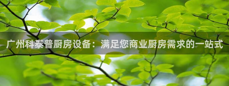尊龙凯时是赌博嘛：广州科泰普厨房设备：满足您商业厨房需求的一