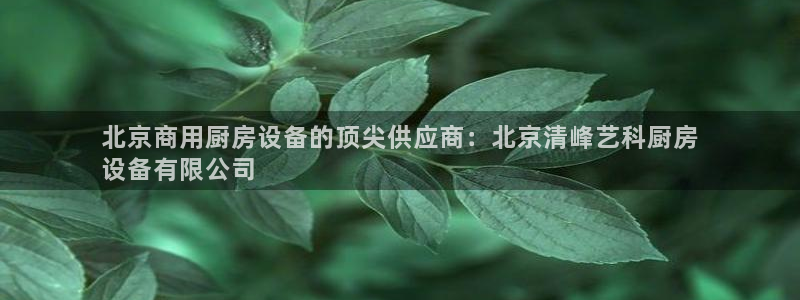 尊龙z6官网：北京商用厨房设备的顶尖供应商：北京清峰艺科厨房