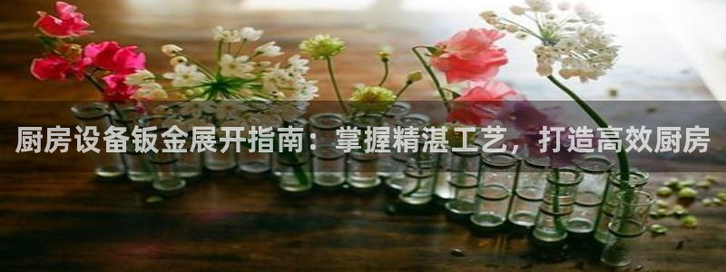 尊龙z6：厨房设备钣金展开指南：掌握精湛工艺，打造高效厨房