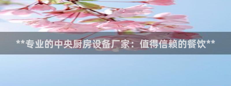 尊龙一人生就是博尊：**专业的中央厨房设备厂家：值得信赖的餐