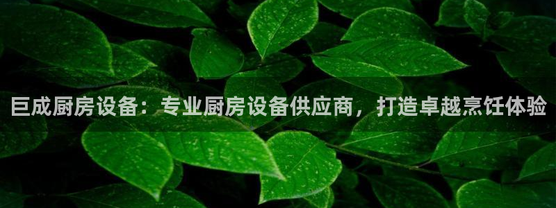 AG尊龙凯时注册：巨成厨房设备：专业厨房设备供应商，打造卓越
