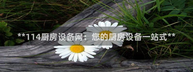 尊龙AG旗舰店：**114厨房设备网：您的厨房设备一站式**
