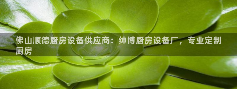 ag尊龙怎么样