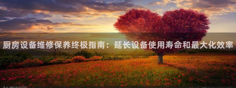尊龙官网免费下载：厨房设备维修保养终极指南：延长设备使用寿命