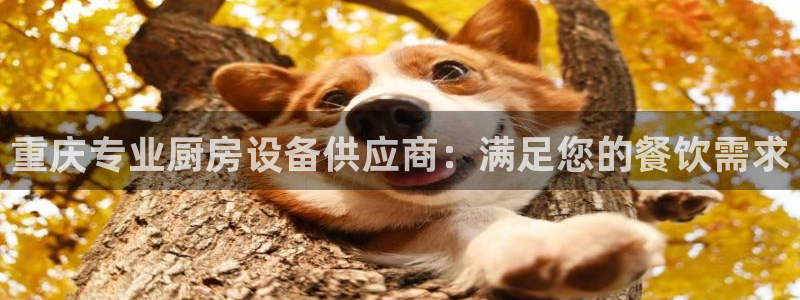 尊龙凯时用户名m：重庆专业厨房设备供应商：满足您的餐饮需求