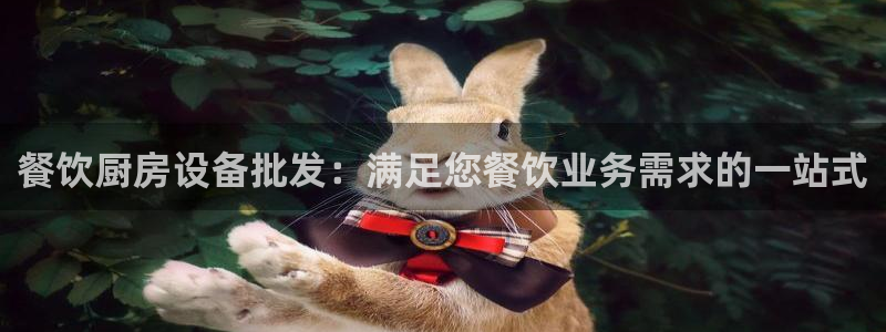 尊龙凯时-人生就是博中国官网：餐饮厨房设备批发：满足您餐饮业