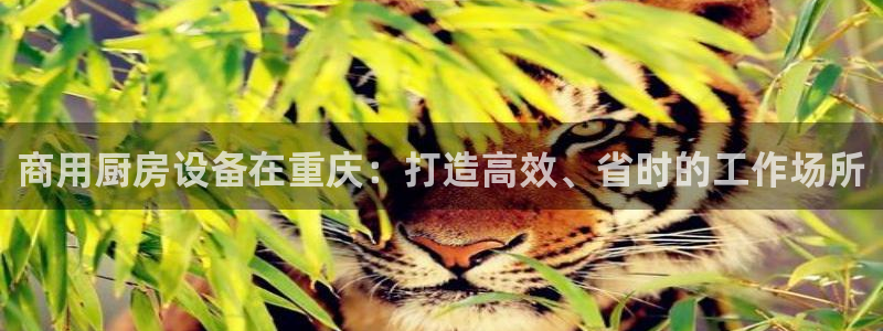 尊龙凯时产品种类：商用厨