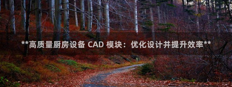 凯时国际网站域名：**高