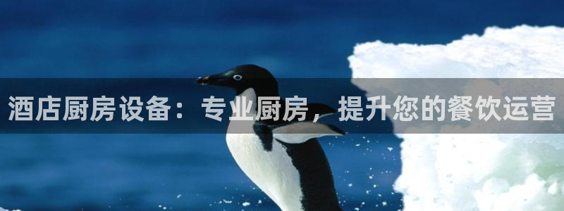 尊龙登录：酒店厨房设备：专业厨房，提升您的餐饮运营